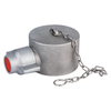 Instantaneous Female Blank Cap with Stainless Steel Chain