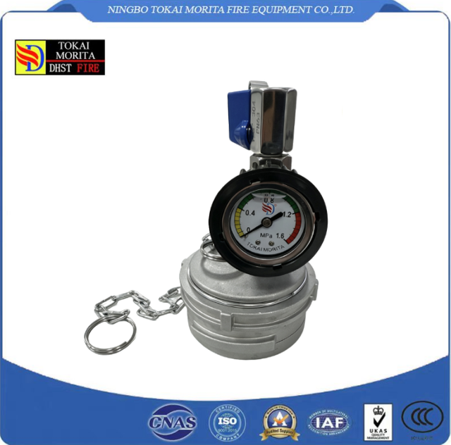 Pressure Testing French Guillemin Cap with Locking Ring